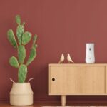 d5e87e13292a24a390c7670cfcbb6339