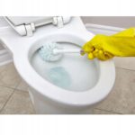 bcb1295bd3950450bd19499b85b98968