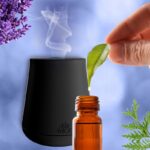 02a36954aac42330d516d745f8074e67